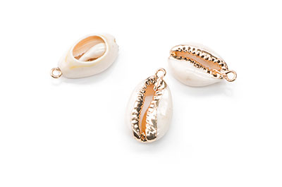 sea shell beads